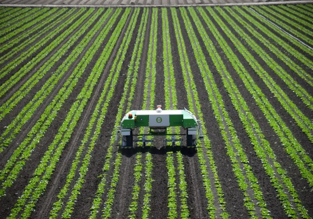 Google Launches AI Tool for Indian Agriculture | Enhancing Drought Preparedness and Irrigation